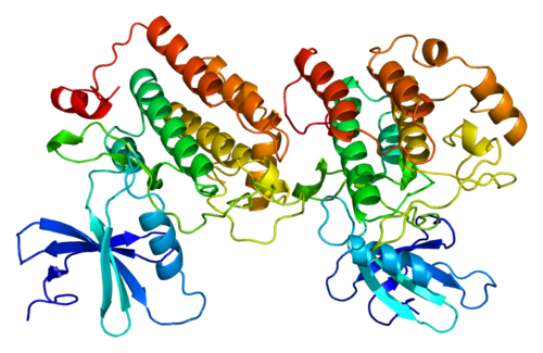 Casein kinase 1 isoform epsilon